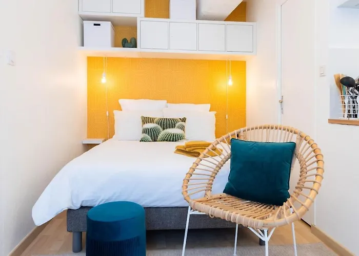 Le Palm Spring - Studio Cosy En Centre-Ville